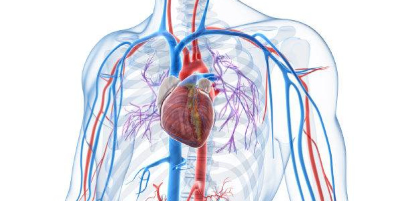 iStock 000024595987 Small 600x388